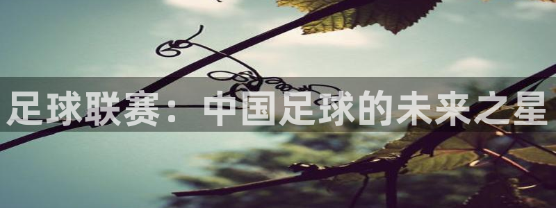mk体育APP官方最新版本更新内容：足球联赛：中国足球的未来