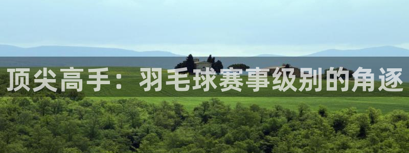 mk体育的最新版本更新内容是什么：顶尖高手：羽毛球赛事级别的
